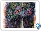 still life 03